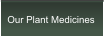 Our Plant Medicines